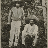 Santa Catharina - Caboclos catharinenses