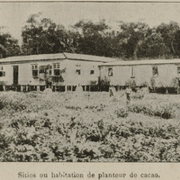 Sitios ou habitation de planteur de cacao
