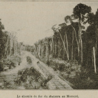 Le chemin de fer du madeira au Mamoré