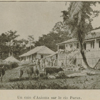 Un coin d'Axioma sur le rio Purus
