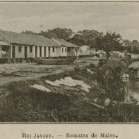 Rio Javary - Remates de Males