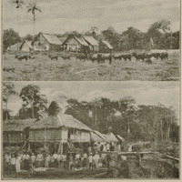 Rio Jurua - Habitations des seringaes Japura et Eldorado