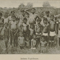 Indiens Uapichanas