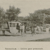 Therezopolis - Litières pour promenade