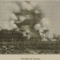 Incendie de brousse