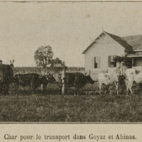 Char pour le transport dans Goyaz et Albinas