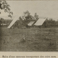 Halte d'une caravane transportant des cuirs secs