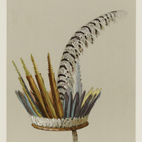 Coiffure Arrowak