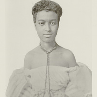 Gerardina
