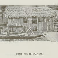 Hutte des plantations
