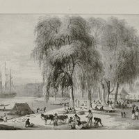 Marché au Poisson et au Bois, au bord de l'eau, à Paramaribo