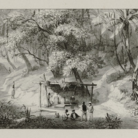 Sources d'eau froide à la Savane des Juifs.