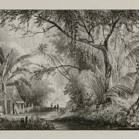 Maison de planteur près de la source du Parakreek.