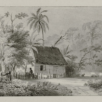 Habitation de nègres.