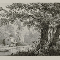 Combé