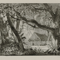 Intérieur de carbet