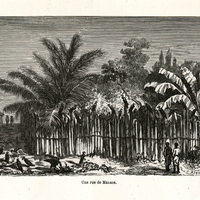Une rue de Manaos