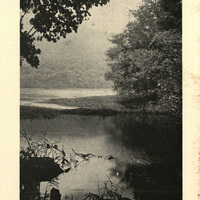 Le Grand Etang