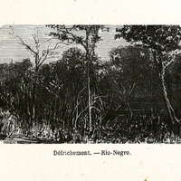 Défrichement - Rio-Negro