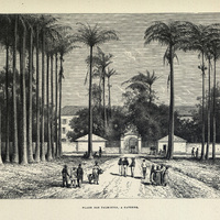 Place des Palmistes, à Cayenne
