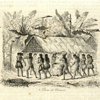Danse de Camacans