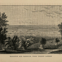 Kingston and harbour from Cherry Garden