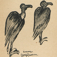 Oiseaux