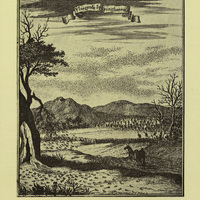 Flying locusts