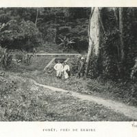 Forêt, prêt de Rémire