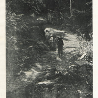 Escalier du Rorota
