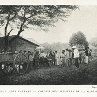 Montjoly, prés Cayenne : Colonie des sinistrés de la Martinique