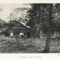 Environs de Cayenne