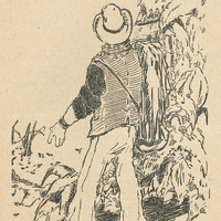 La loi de la forêt