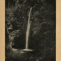 Petite cascade du Jardin des plantes