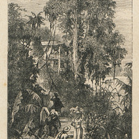 De la rive on ne voyait que la maison forestière