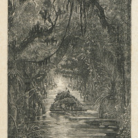 Le passage à travers la forêt inondée