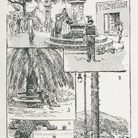 A Madère (suite) : La Place de Saint-Sébastien - Le port, le phare - Un coin du jardin public - La…