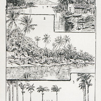 A Fort-de-France : La rivière Madame - Autre vue de la rivière madame - La Savane