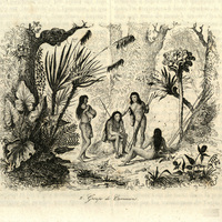 Groupe de Camacans