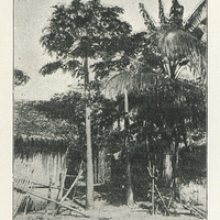 Champ clôturé (Lougan)