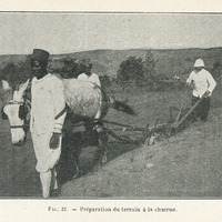 Préparation du terrain à la charrue