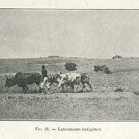 Laboureurs indigènes