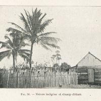 Maison indigène et champ clôturé