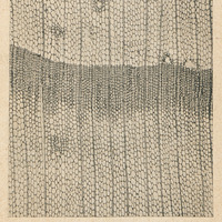Section transversale de bois de Keteleeria Davidiana Beissn d'Indochine