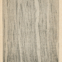 Bois d'Eugenia