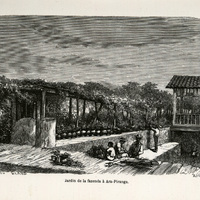 Jardin de la fazenda à Ara-Piranga