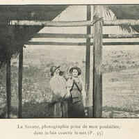 La savane, photographie prise de mon poulailler dont je fais couvrir le toit