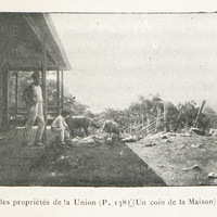 Un coin de la maison