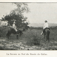La Savane au Sud du Bassin du Callao