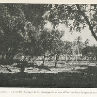 Au Callao. - Le jardin potager de la Compagnie et ses allées bordées de quartz aurifère